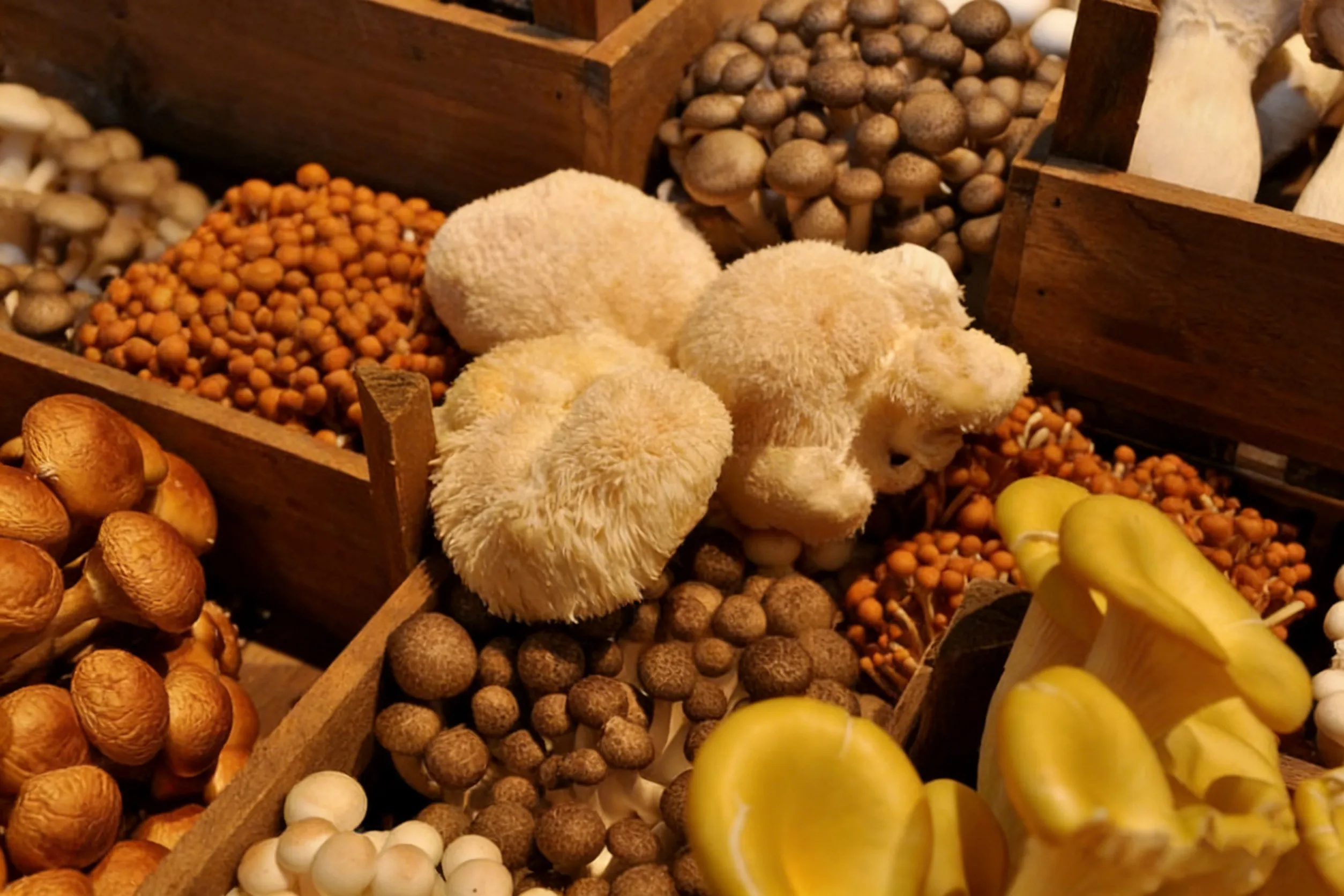 图片调整 (1).webp